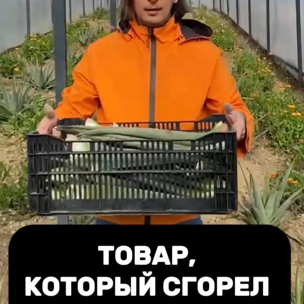 Рилс @medoveevec