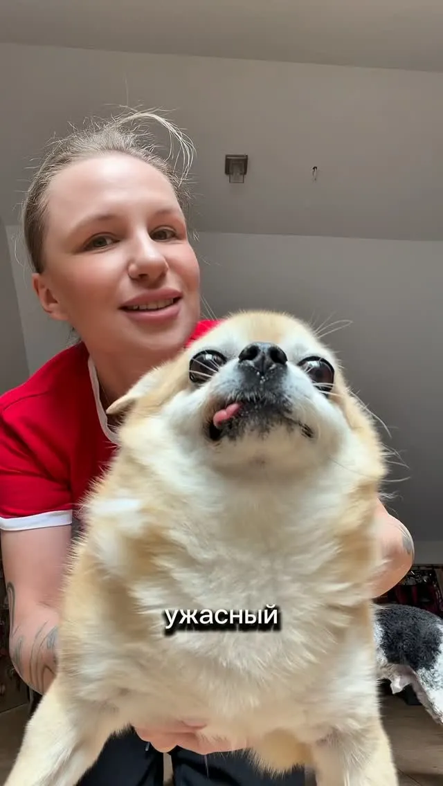 Рилс @germanicaislove_official