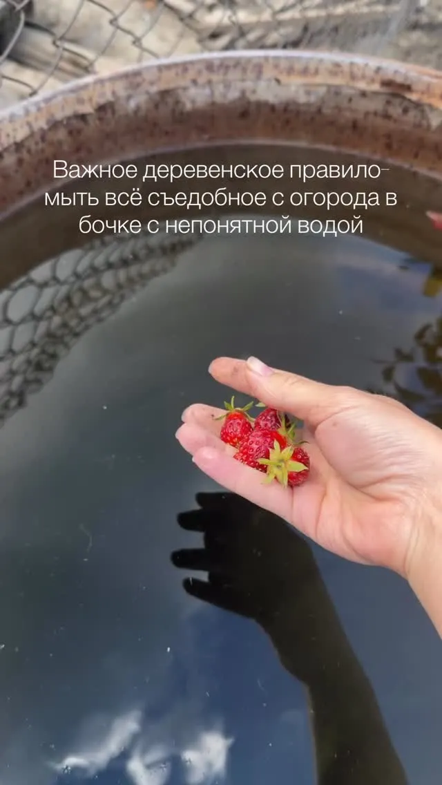 Рилс @inamallina