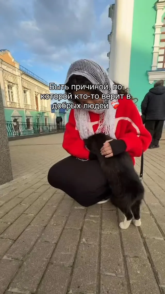 Рилс @zeusan046