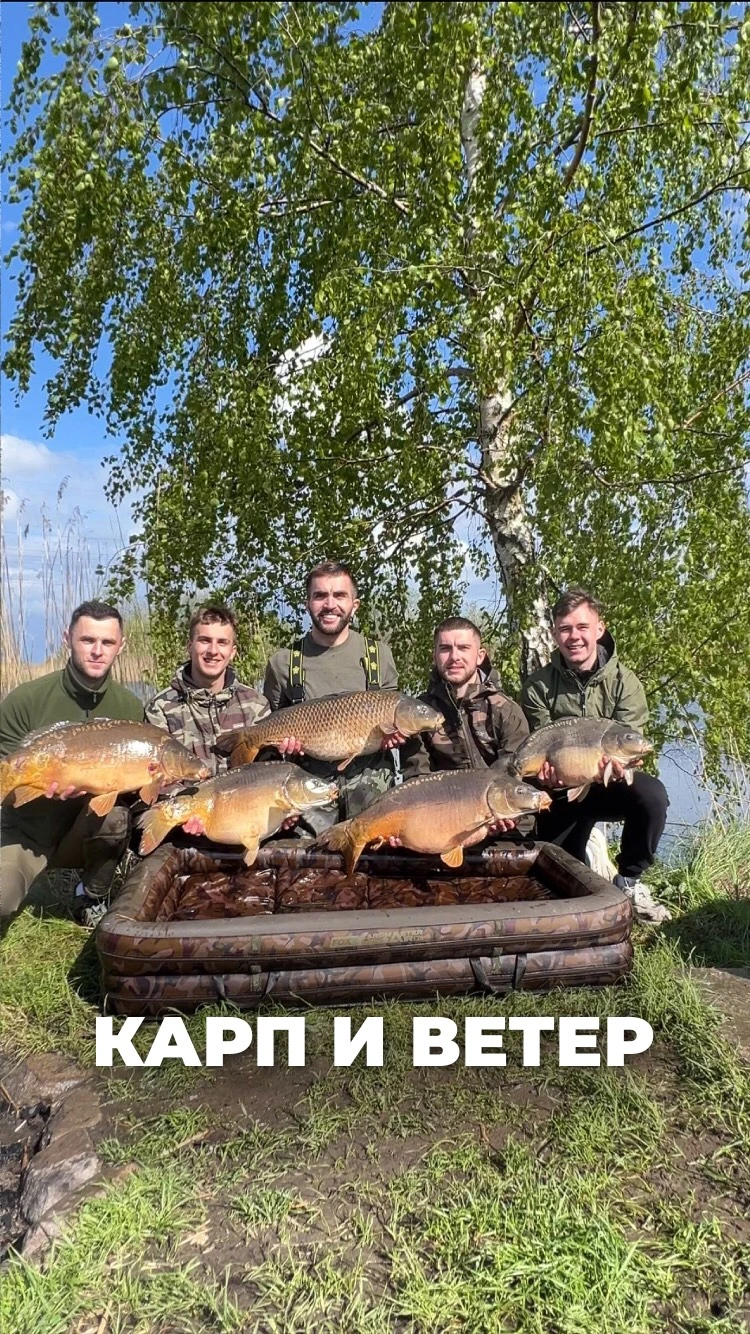 Рилс @madfisherscom