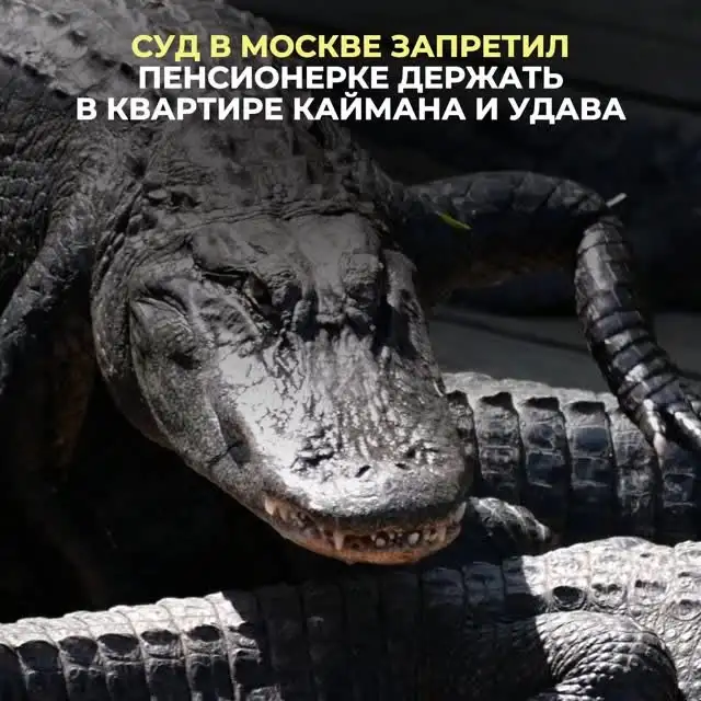 Рилс @natalia_kopacheva