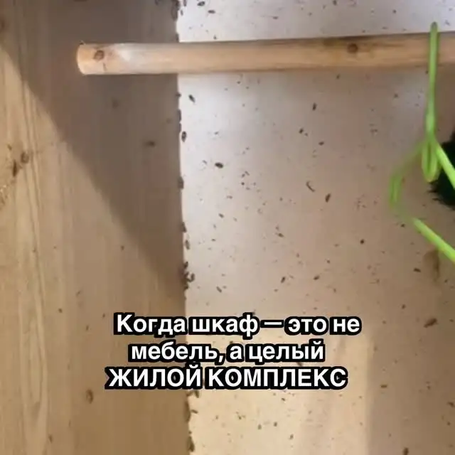 Рилс @dezclean_ykt