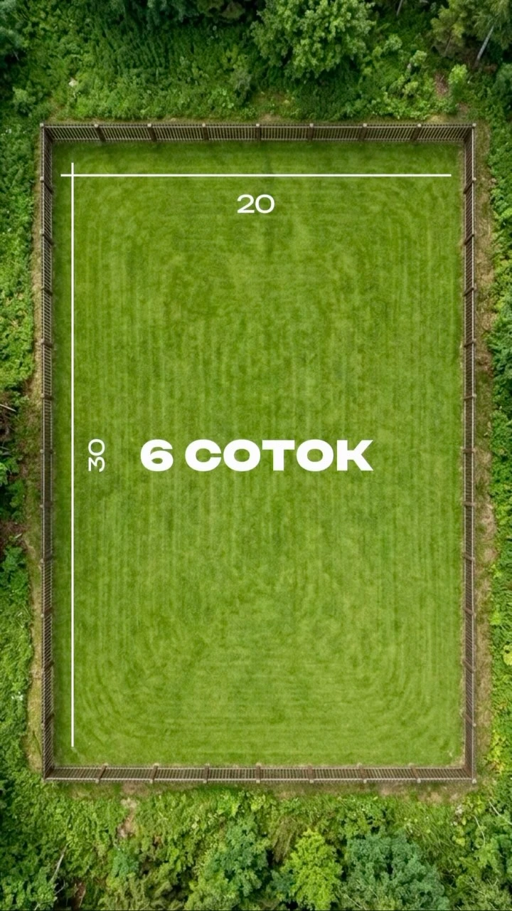 Рилс @forest.house_spb