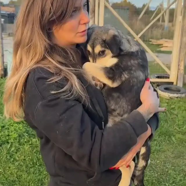Рилс @spasaem_lapki_hvostiki