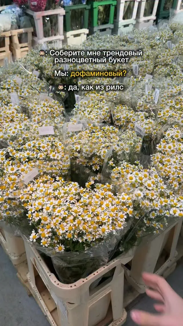 Рилс @flowers_azalia