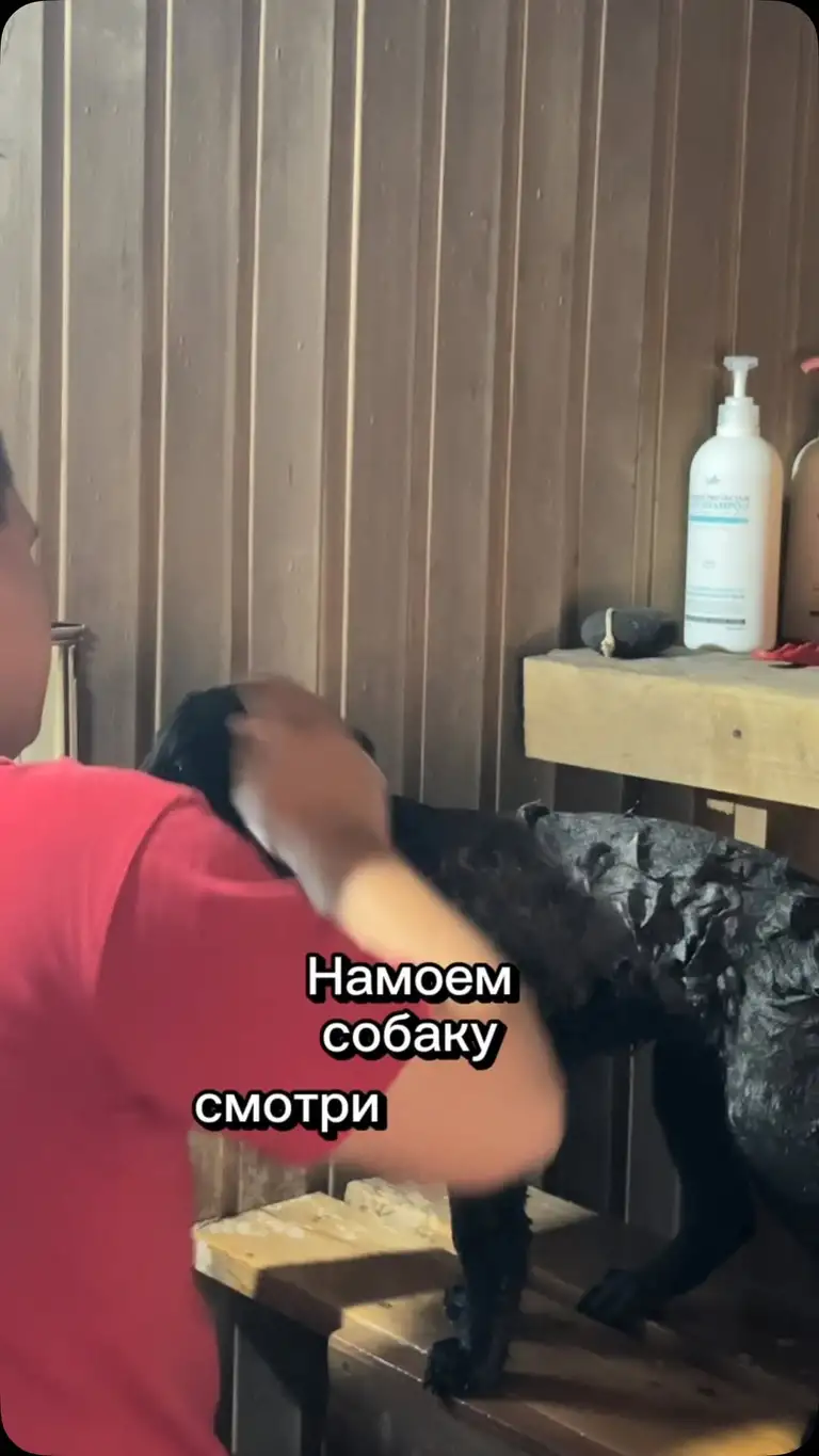 Рилс @mommy_hummy