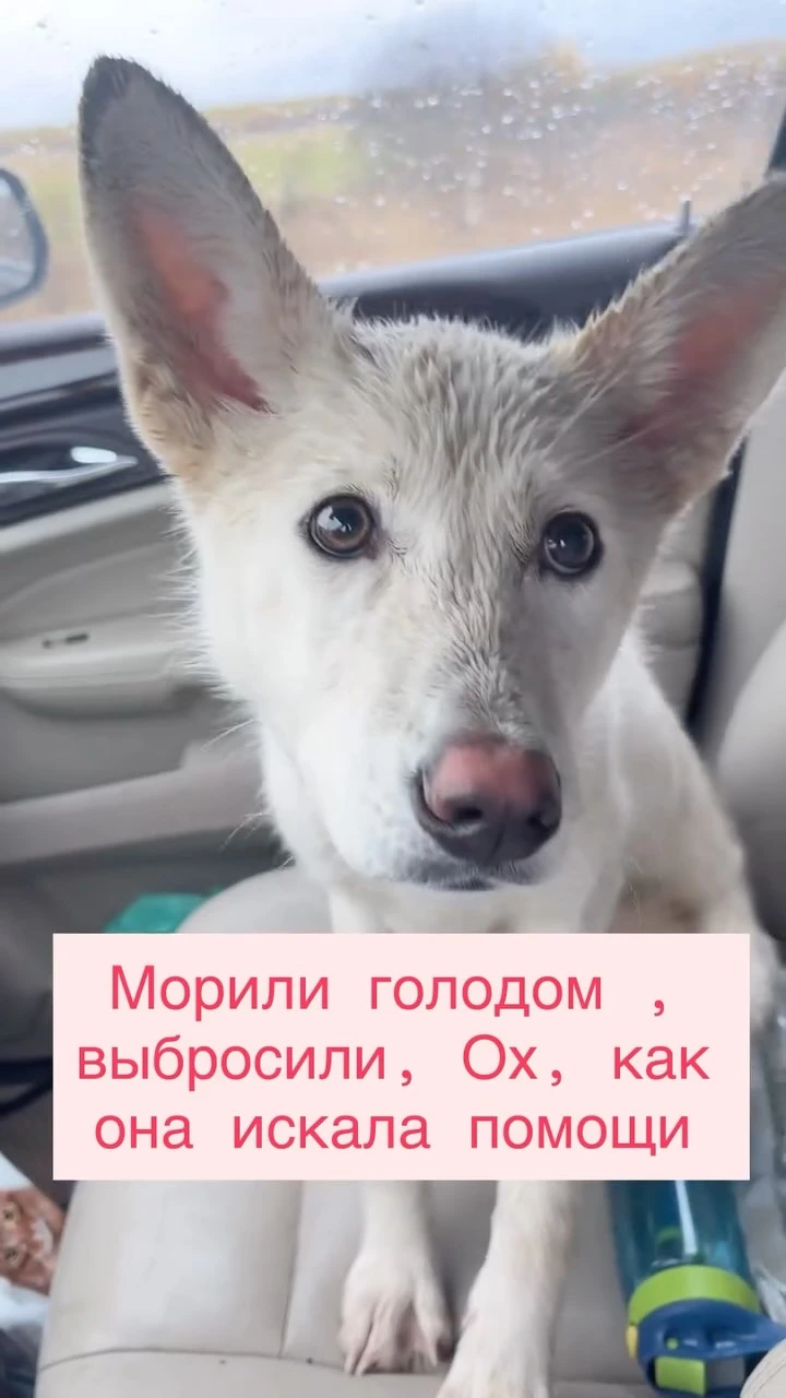 Рилс @gav4you