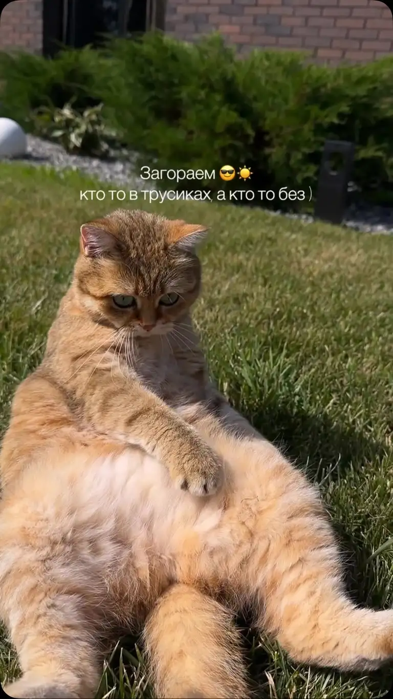Рилс @___katerinaa___