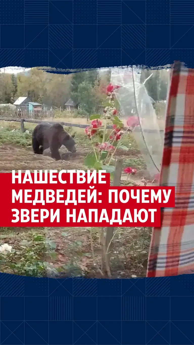 Рилс @ngs_news