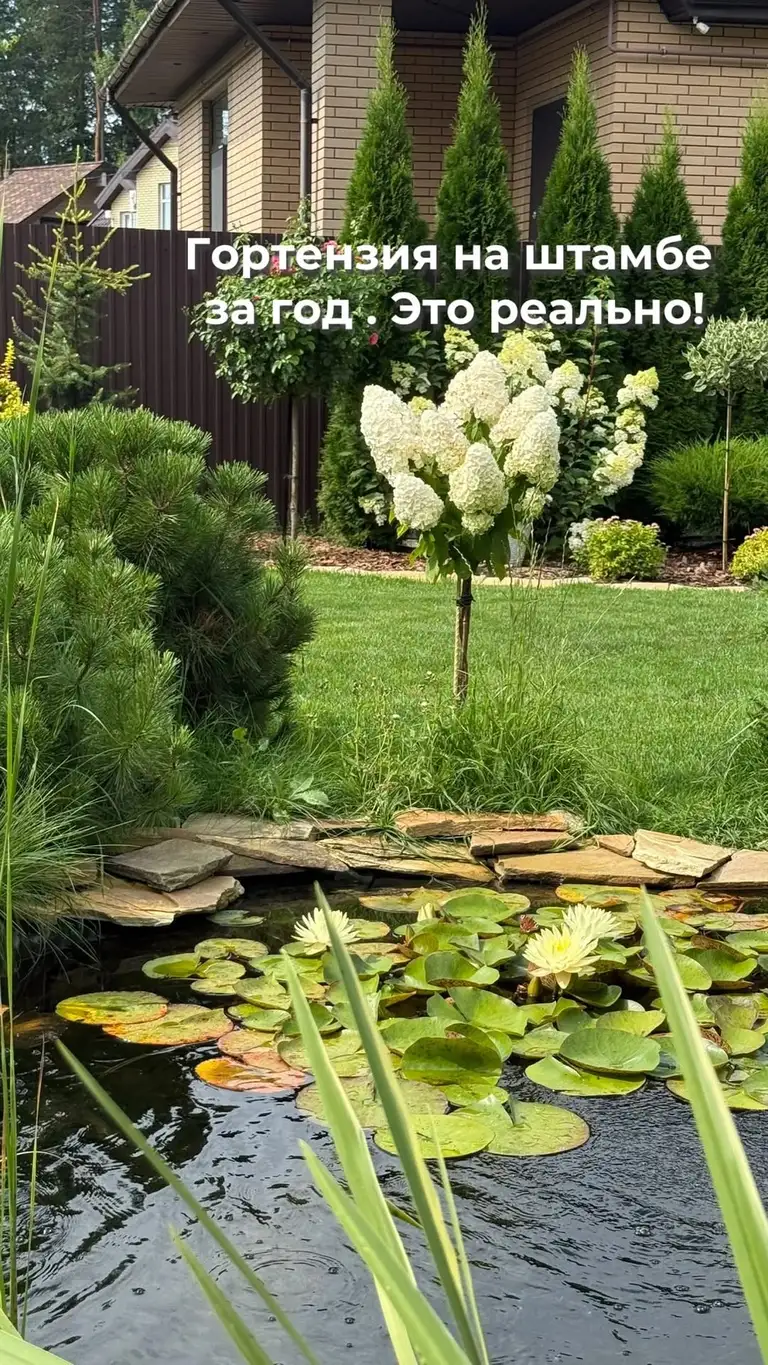 Рилс @sad_v_kazani