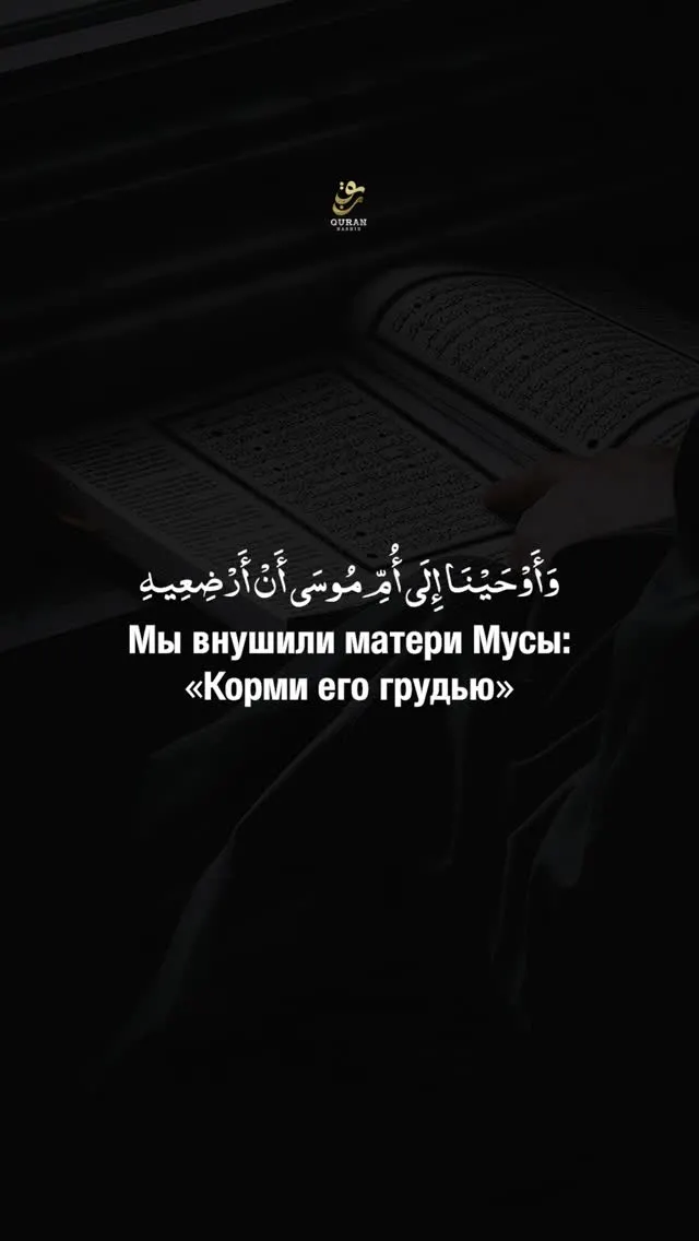 Рилс @quran_nashid