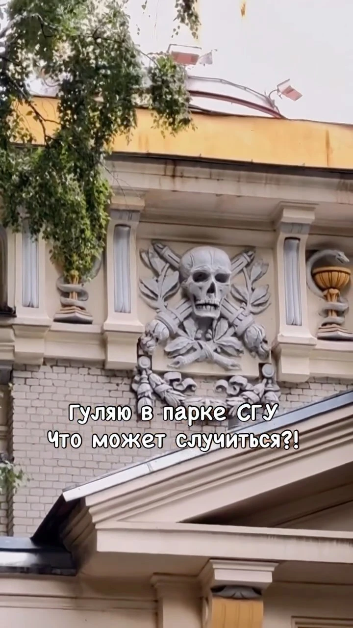 Рилс @allaefremova