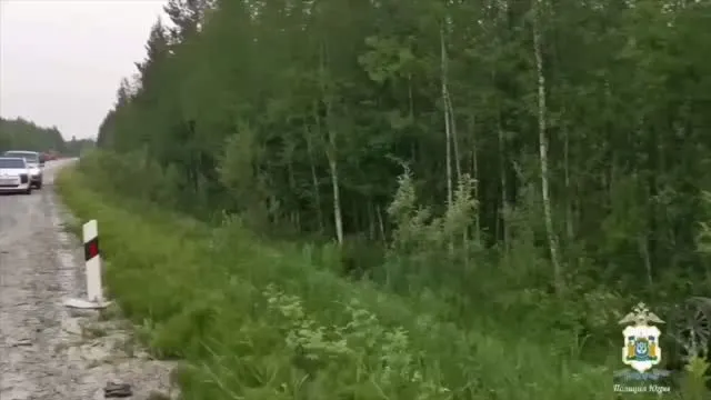 Рилс @nizhnevartovsk_86