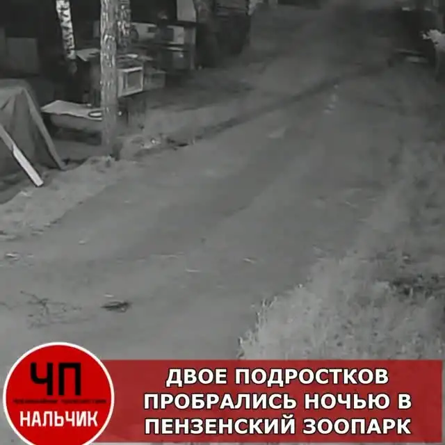 Рилс @chp_penza