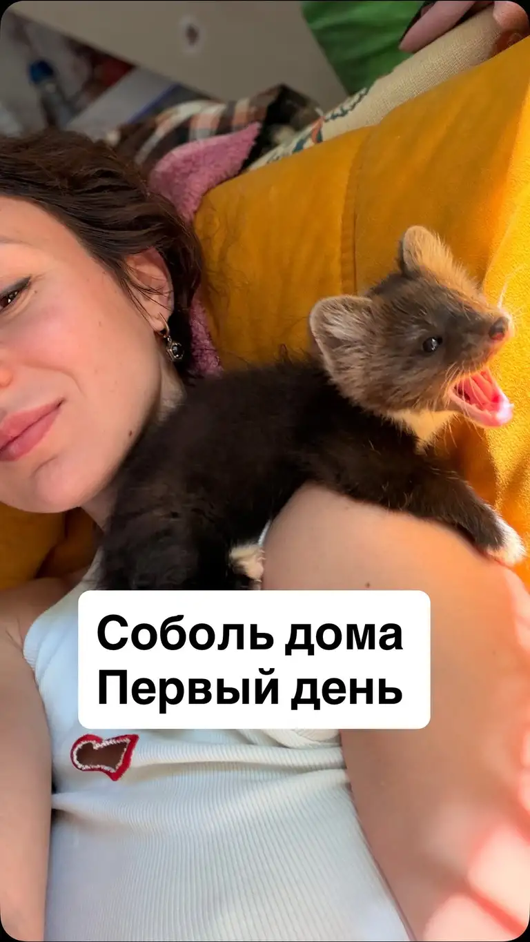 Рилс @katyabobcat