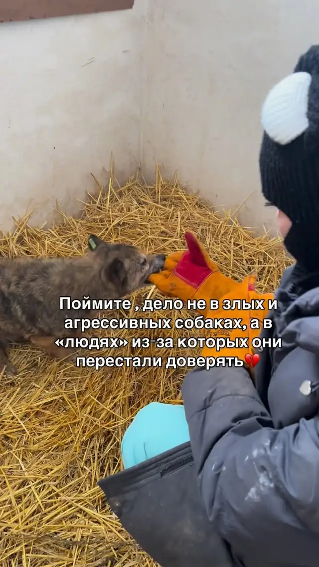 Рилс @lovlytvoyulibky
