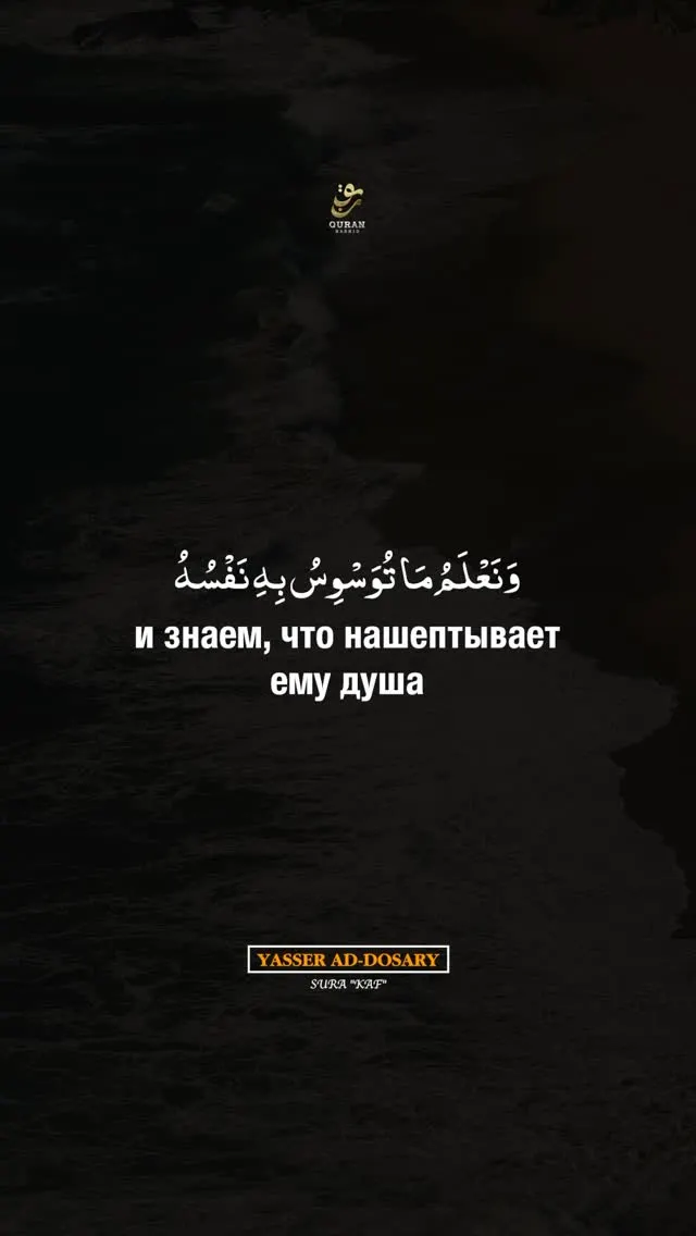 Рилс @quran_nashid