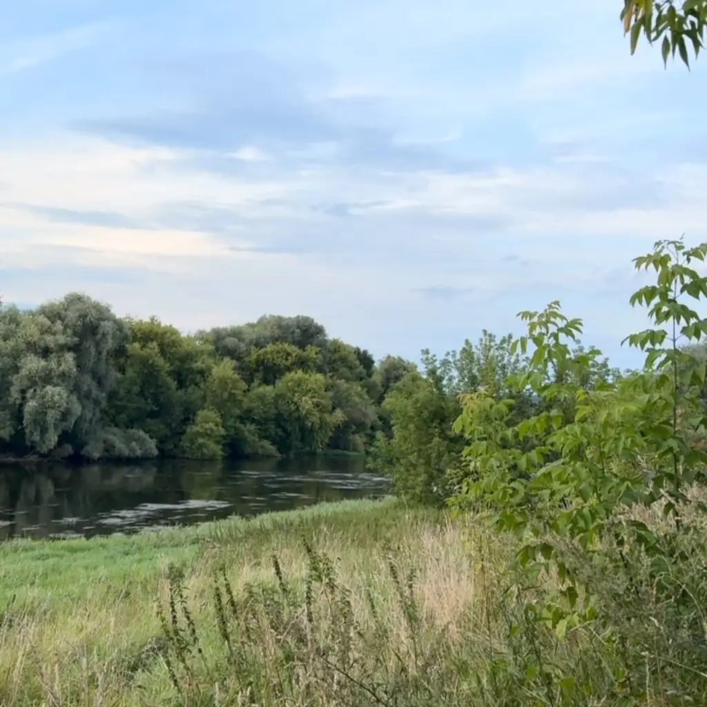 Рилс @olga_sviblova