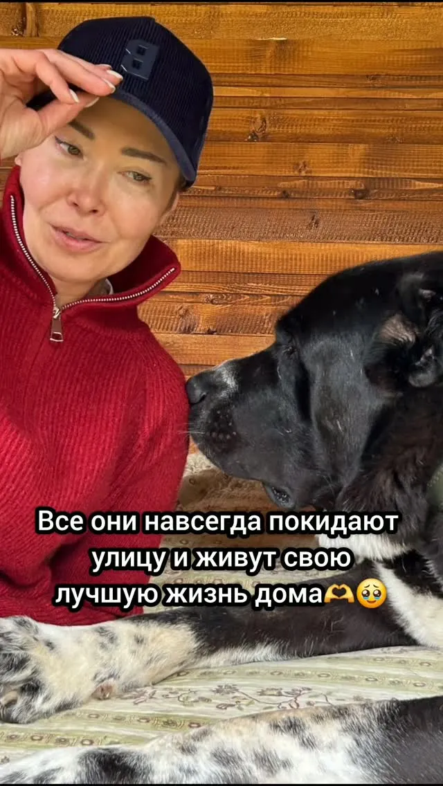 Рилс @yana_novopashina