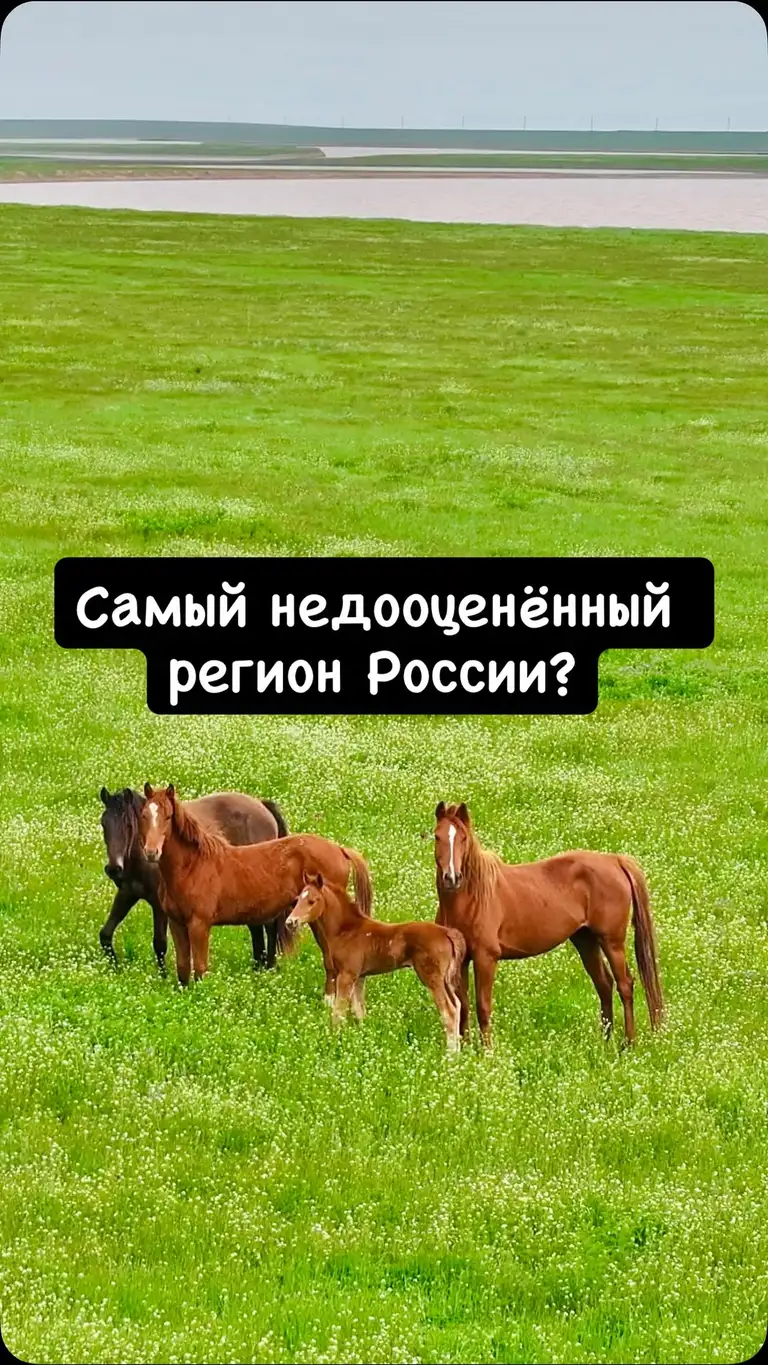 Рилс @pmiroshkin