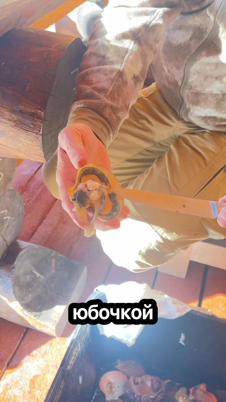 Рилс @yulia_chashina80