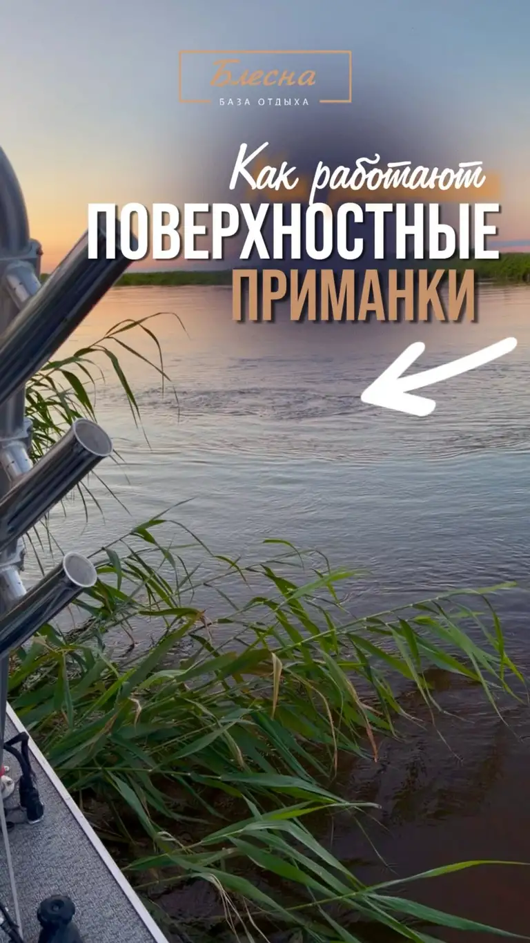Рилс @baza_blesna_official