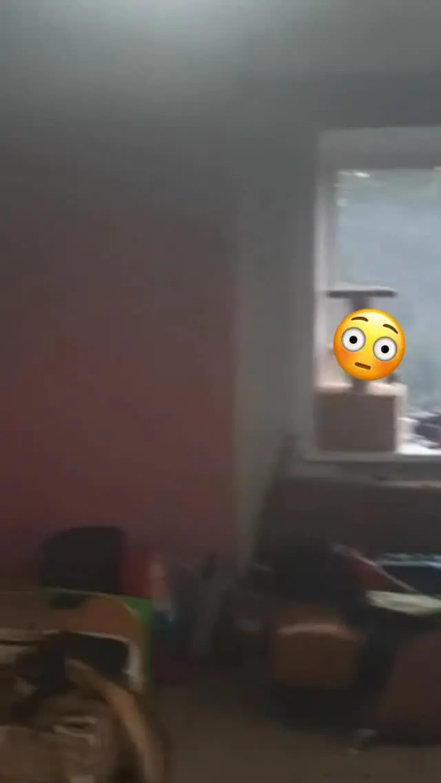Рилс @magzamov_kuandyk