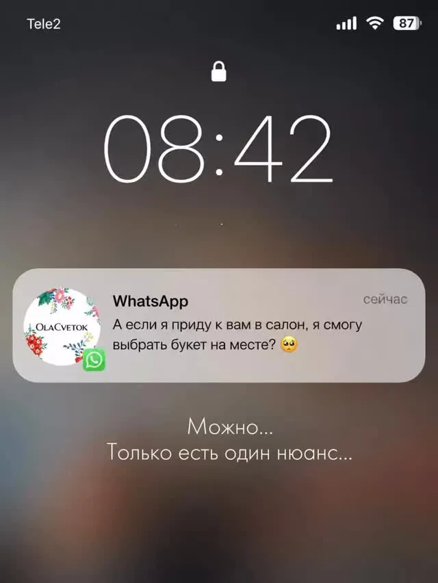 Рилс @olacvetok_kzn