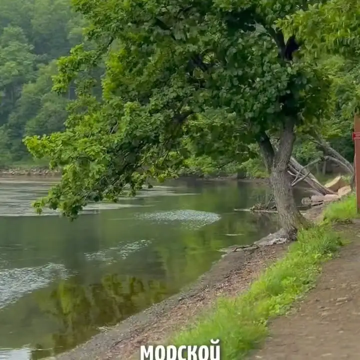 Рилс @novikcountryclub