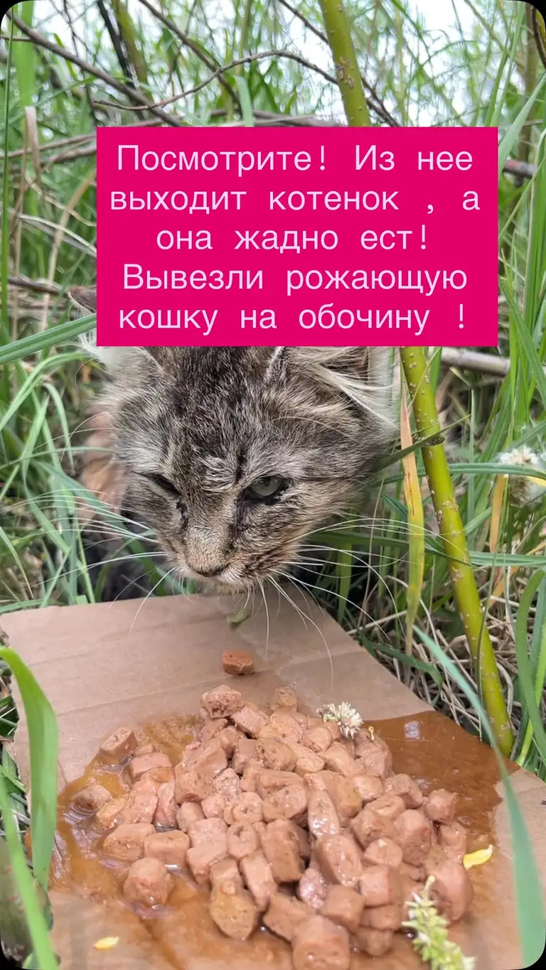 Рилс @gav4you