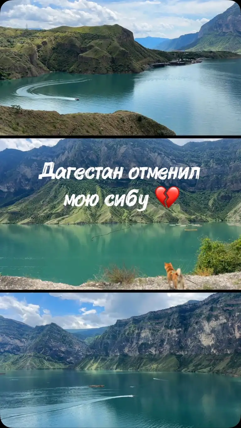 Рилс @kristinsav