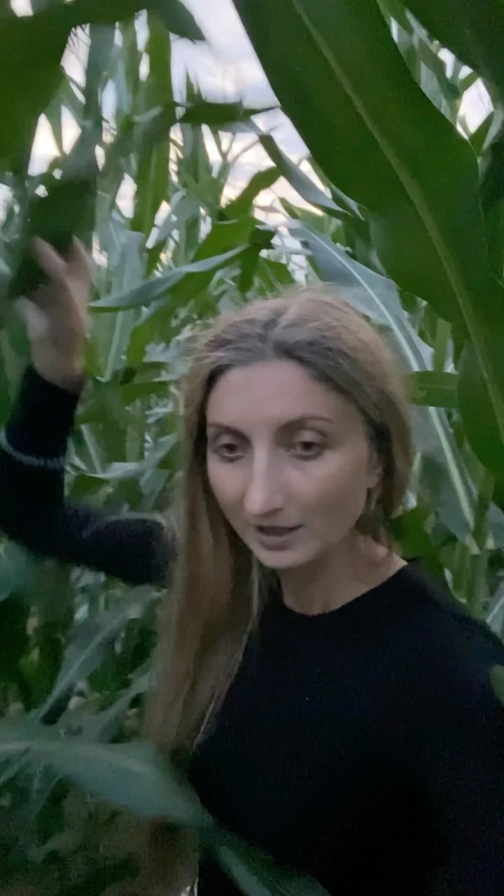 Рилс @_maryarty