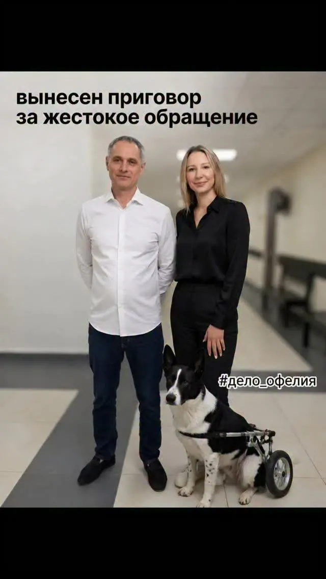 Рилс @zoopravo