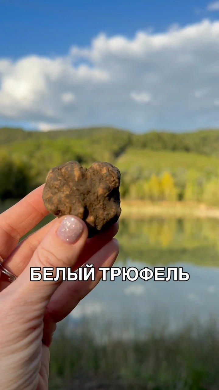 Рилс @italia_toscana_tour