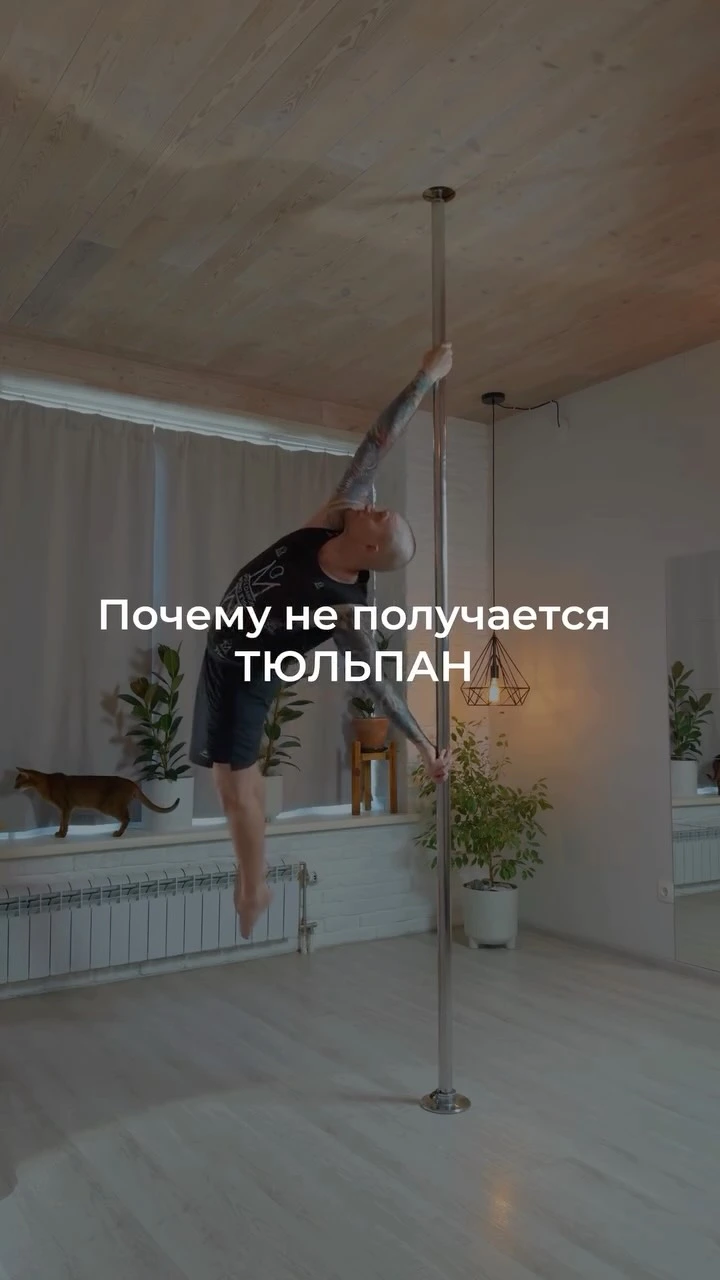 Рилс @sidorov_poledance