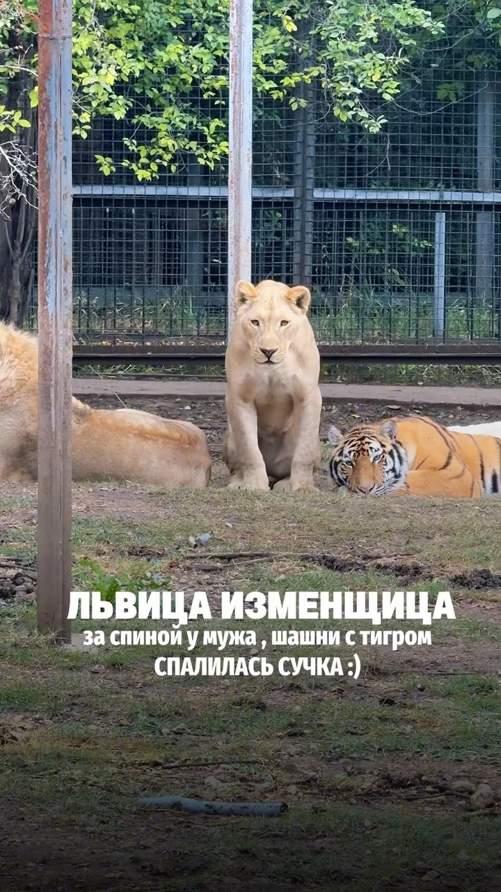Рилс @gleb_zhemchugov